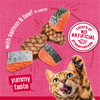 Friskies Prime Filets Salmon & Beef in Sauce Wet Cat Food