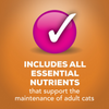 Friskies Prime Filets Chicken in Gravy Wet Cat Food