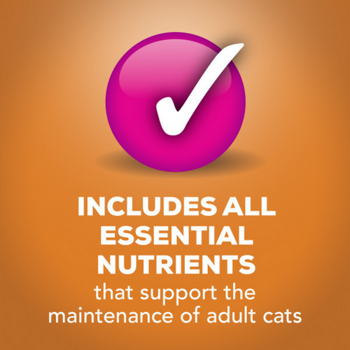 Friskies Prime Filets Chicken in Gravy Wet Cat Food