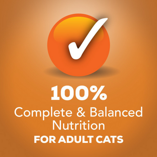 Friskies Prime Filets Chicken in Gravy Wet Cat Food