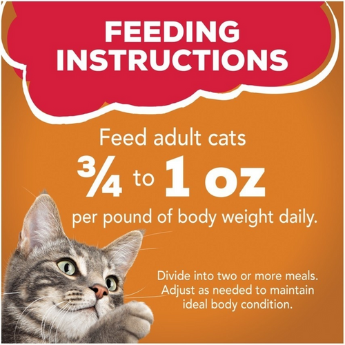 Friskies Prime Filets Chicken in Gravy Wet Cat Food