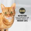 ProPlan Indoor Care Turkey and Rice Dry Cat Food
