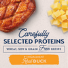 Natural Balance Limited Ingredient Reserve Grain Free Dry Dog Food for Small Breeds, Duck & Potato Recipe