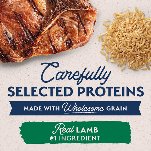 Natural Balance Limited Ingredient Wet Dog Food, Lamb & Brown Rice Recipe