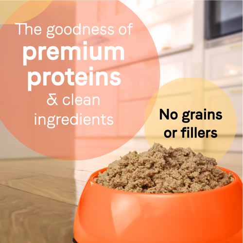 Canidae Pure Wet Dog Food, Lamb, Turkey & Chicken Recipe