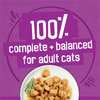 Purina Friskies Poultry with Gravy Variety Pack Wet Cat Food