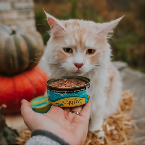 Earthborn Holistic Monterey Medley Grain Free Canned Cat Food