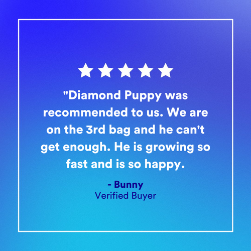 Diamond Puppy Dry Food