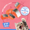 Purina Friskies Savory Shreds Salmon in Sauce Wet Cat Food