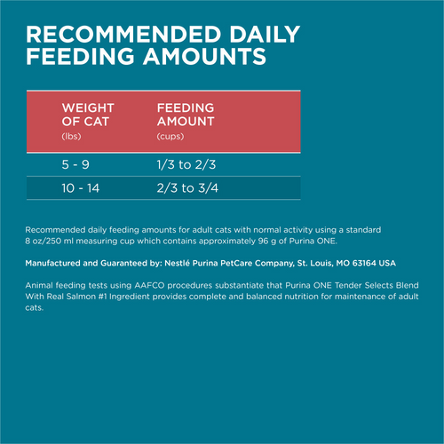 One Tender Selects Blend Real Salmon Dry Cat Food