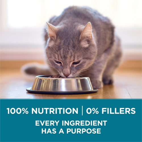 One Tender Selects Blend Real Chicken Dry Cat Food