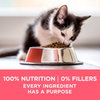 One Plus Healthy Kitten Dry Kitten Food