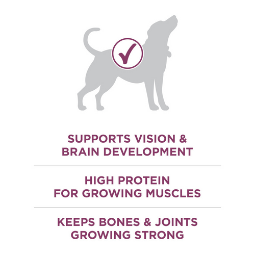 One Healthy Puppy Chicken Dry Puppy Food