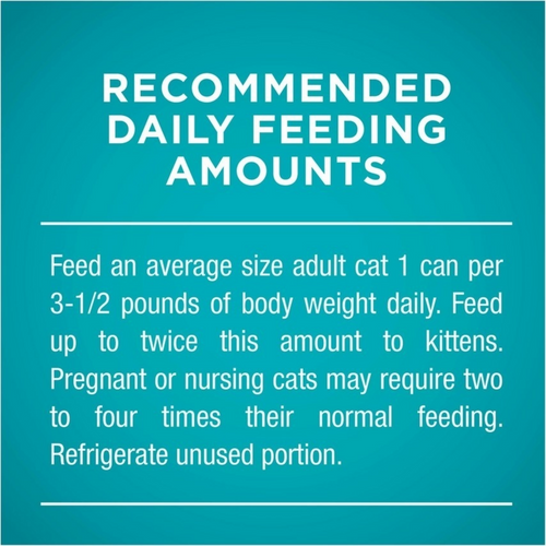 One Grain Free Premium Pate Whitefish Wet Cat Food