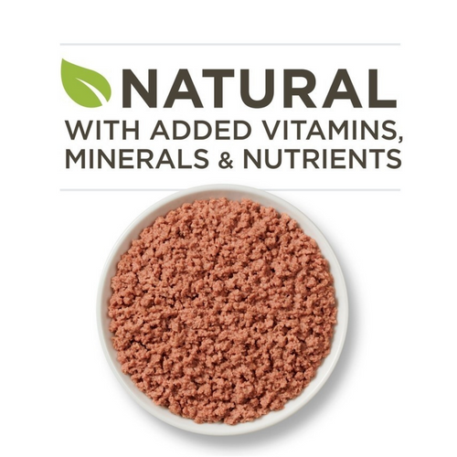 One Grain Free Premium Pate Whitefish Wet Cat Food