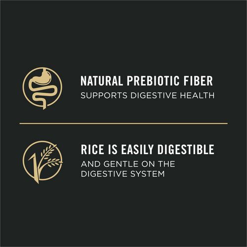 ProPlan Sensitive Skin & Stomach Salmon and Rice Pate Wet Dog Food