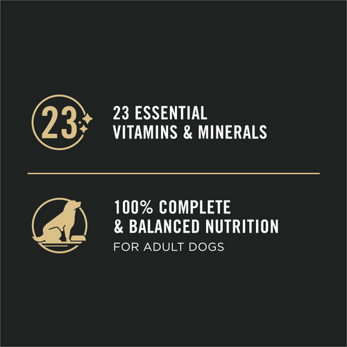 ProPlan Sensitive Skin & Stomach Salmon and Rice Pate Wet Dog Food