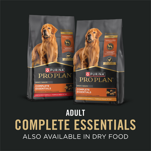 ProPlan Complete Essentials Beef and Rice Wet Dog Food