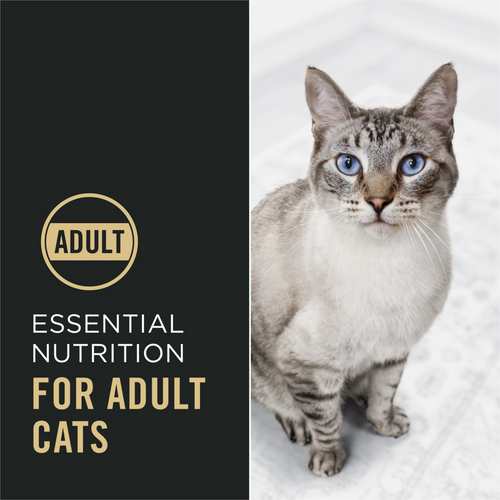 ProPlan Complete Essentials Chicken and Rice Dry Cat Food