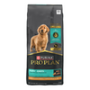 ProPlan Shredded Blend Chicken and Rice Dry Puppy Food