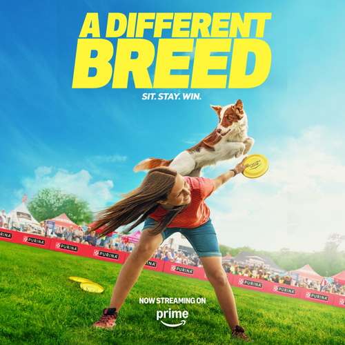 ProPlan Lamb and Rice Dry Puppy Food