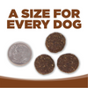 NutriSource Large Breed Adult Lamb & Rice Dry Dog Food