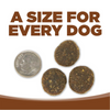 NutriSource Grain Free Large Breed Lamb Dry Dog Food