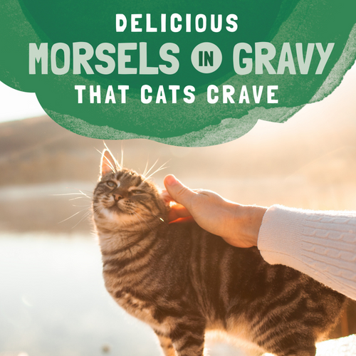 Natural Balance Original Ultra Platefulls Chicken & Giblets Recipe Morsels in Gravy Wet Cat Food Pouches