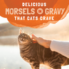 Natural Balance Original Ultra Platefulls Wet Cat Food, Turkey, Chicken, & Duck Morsels in Gravy Recipe