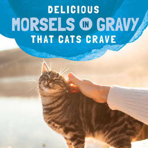 Natural Balance Original Ultra Platefulls Wet Cat Food, Mackerel & Sardine Morsels in Gravy Recipe
