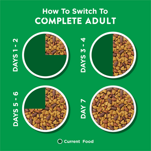 Dog Chow Complete and Balanced Dry Dog Food