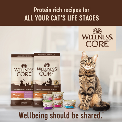 Wellness CORE Natural Grain Free Turkey and Duck Pate Wet Canned Cat Food