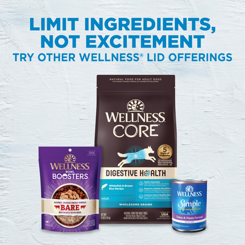 Wellness Simple Natural Limited Ingredient Diet Lamb and Oatmeal Recipe Dry Dog Food