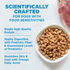Wellness Simple Grain Free Natural Limited Ingredient Diet Salmon and Potato Recipe Dry Dog Food
