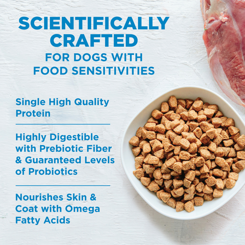 Wellness Simple Grain Free Natural Limited Ingredient Diet Salmon and Potato Recipe Dry Dog Food