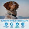 Wellness Simple Grain Free Natural Limited Ingredient Diet Salmon and Potato Recipe Dry Dog Food