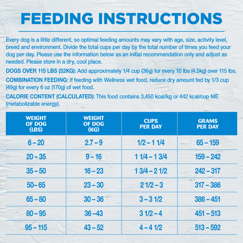Wellness Simple Grain Free Natural Limited Ingredient Diet Salmon and Potato Recipe Dry Dog Food