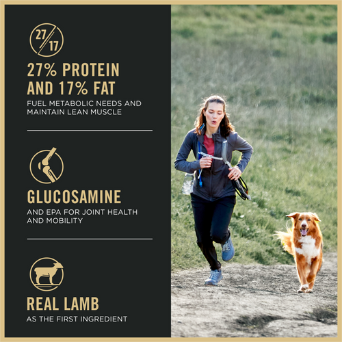 ProPlan All Life Stages Small Bites 27/17 Lamb and Rice Dry Dog Food