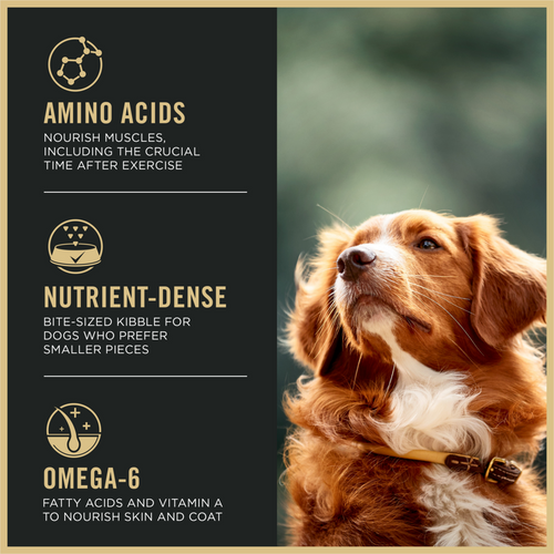 ProPlan All Life Stages Small Bites 27/17 Lamb and Rice Dry Dog Food