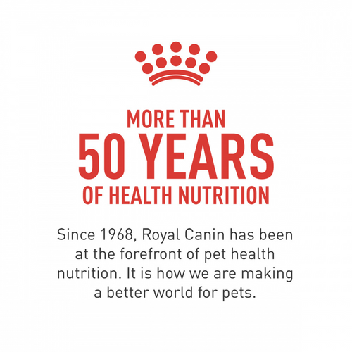 Royal Canin Breed Health Nutrition Shih Tzu Puppy Dry Dog Food