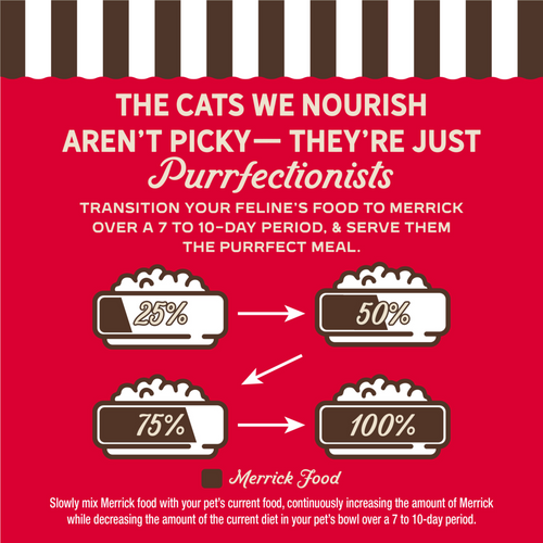 Merrick Purrfect Bistro Grain Free Beef Pate Adult Wet Cat Food