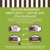 Merrick Purrfect Bistro Grain Free Premium Soft Canned Pate Adult Wet Cat Food, High Protein Turkey Recipe