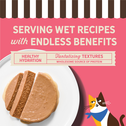 Merrick Purrfect Bistro Grain Free Premium Soft Canned Pate Adult Wet Cat Food, High Protein Salmon Recipe