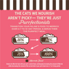 Merrick Purrfect Bistro Grain Free Premium Soft Canned Pate Adult Wet Cat Food, High Protein Salmon Recipe