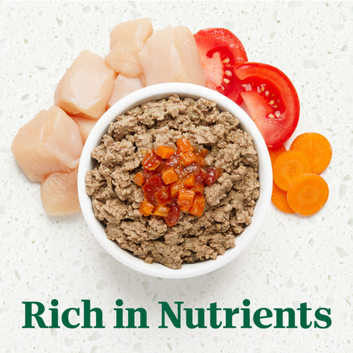 Nutro Ultra Grain-Free Chicken Entree Pate with Tomatoes and Carrots Adult Wet Dog Food Trays