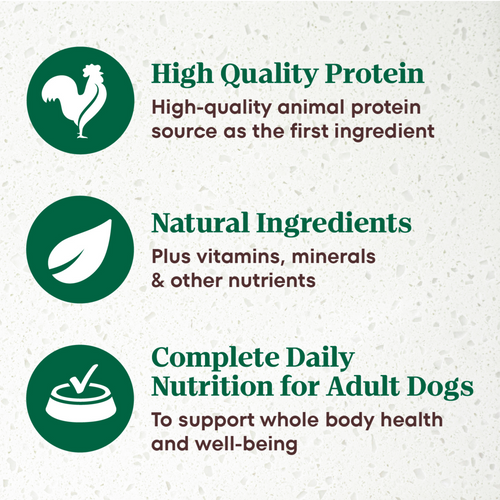 Nutro Ultra Grain-Free Chicken Entree Pate with Tomatoes and Carrots Adult Wet Dog Food Trays