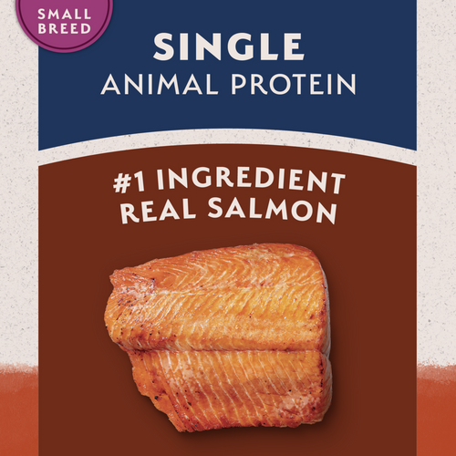 Natural Balance Limited Ingredient Grain Free Dry Dog Food for Small Breeds, Salmon & Sweet Potato