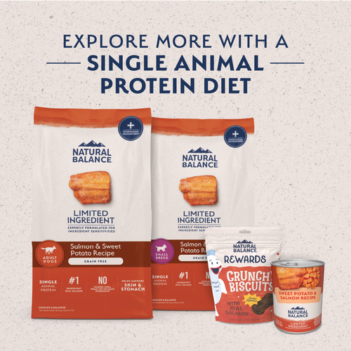Natural Balance Limited Ingredient Grain Free Dry Dog Food for Small Breeds, Salmon & Sweet Potato