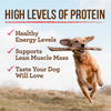 Merrick Chunky Grain Free Premium And Wholesome Canned Dog Food, Real Meat Colossal Chicken Dinner In Gravy