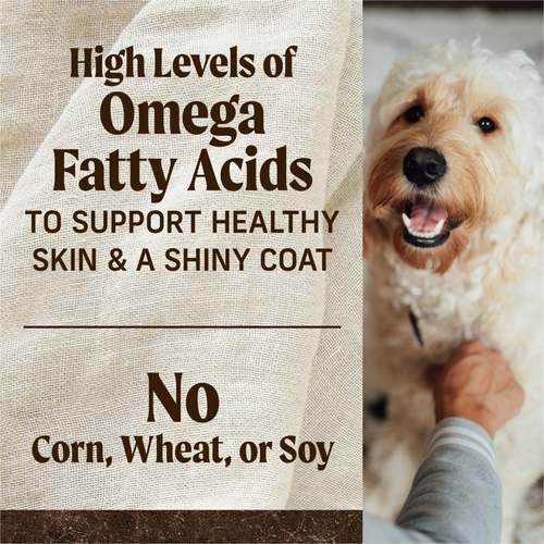 Merrick Grain Free Lamb and Sweet Potato Adult Dry Dog Food